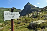 37 Dal Passo Laghi Gemelli via per Passo di Valsanguigno e Pizzo Farno